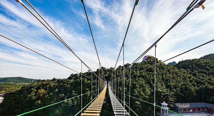 1637633462518541.png 3.png